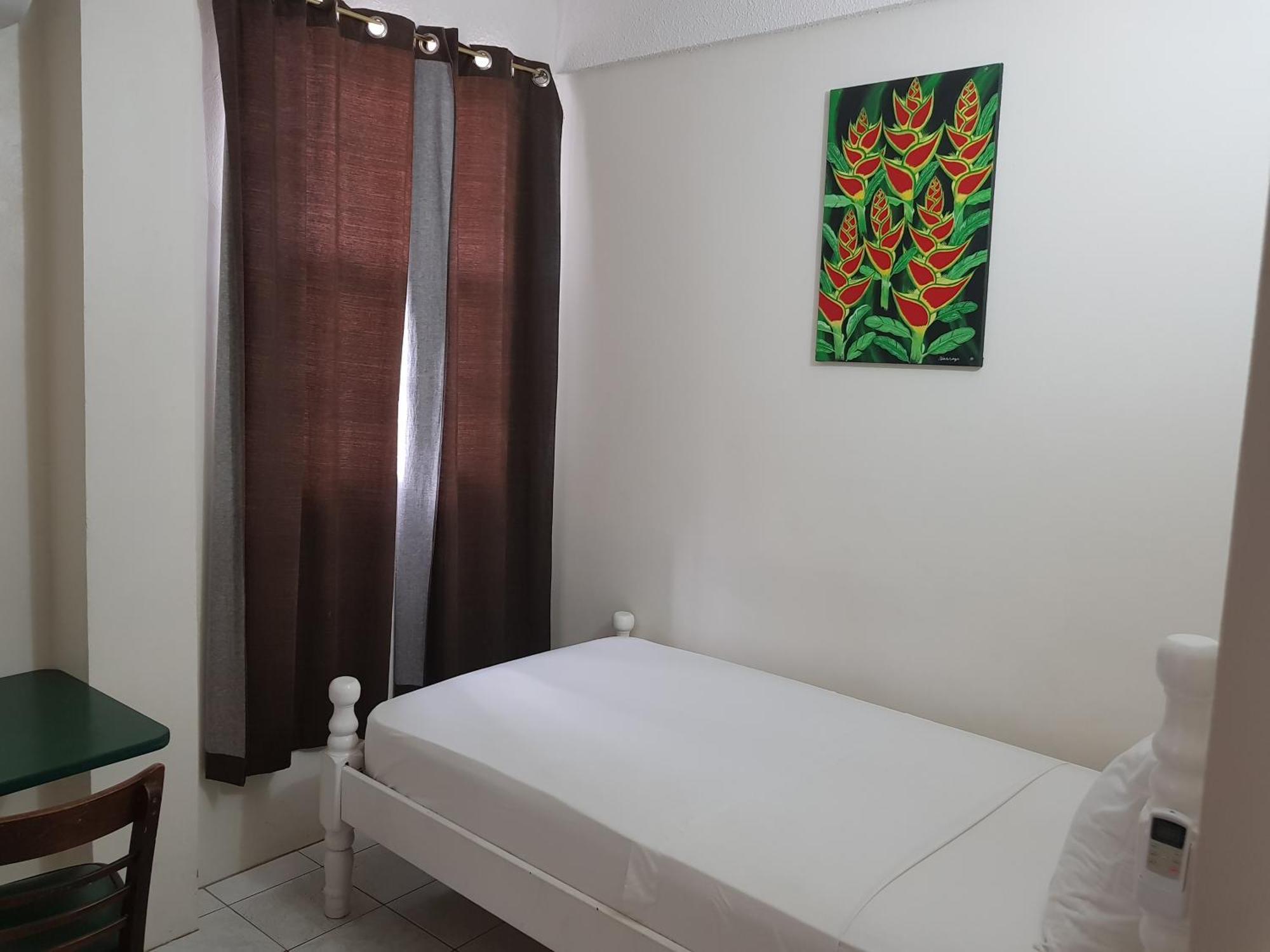 St. James Guesthouse Roseau Exterior foto